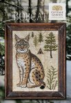 (image for) Year In The Woods II 8 - The Bobcat